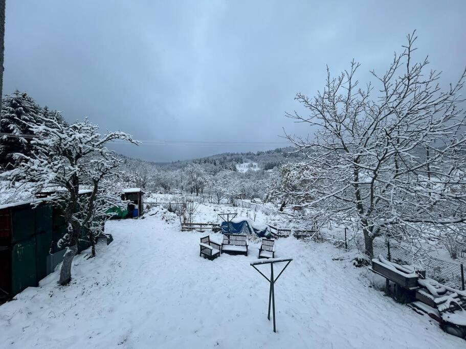 Gite Belle Vue Thannenkirch Exteriör bild